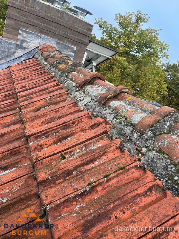 Verweerd hellend dak met mosgroei op nokvorst in Burgum Verweerd hellend dak met mosgroei op nokvorst in Burgum