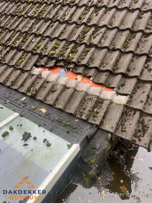 Beschadigd pannendak met ontbrekende dakpannen voor reparatie in Burgum